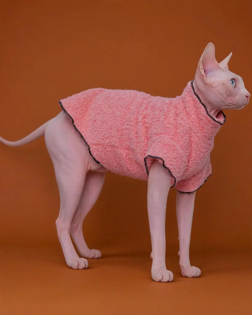 Sphynx cat wearing a pink coral fleece sweater for autumn and winter warmth