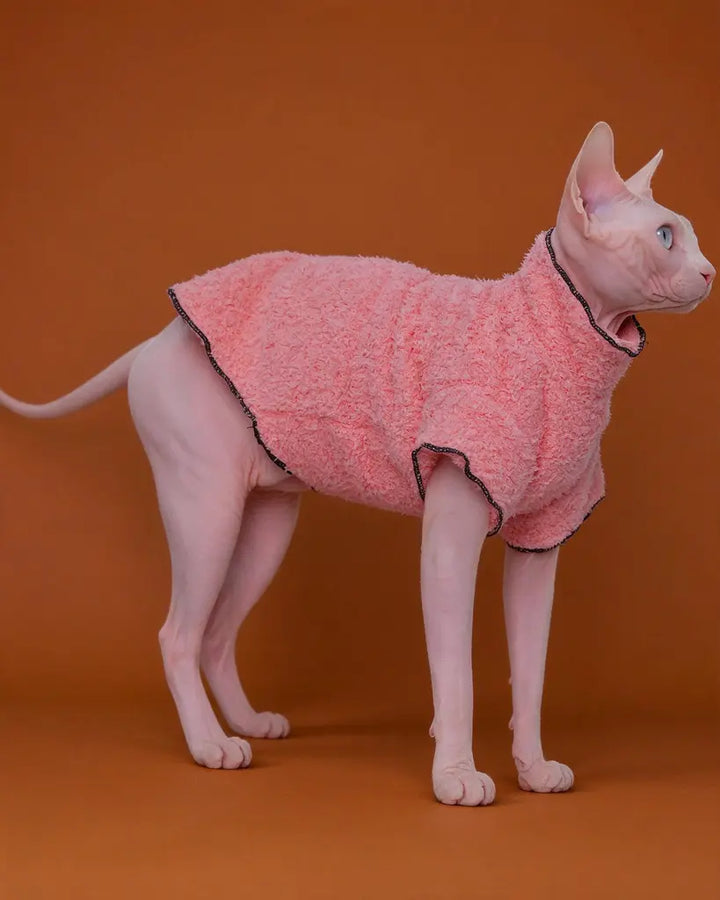 Sphynx cat wearing a pink coral fleece sweater for autumn and winter warmth