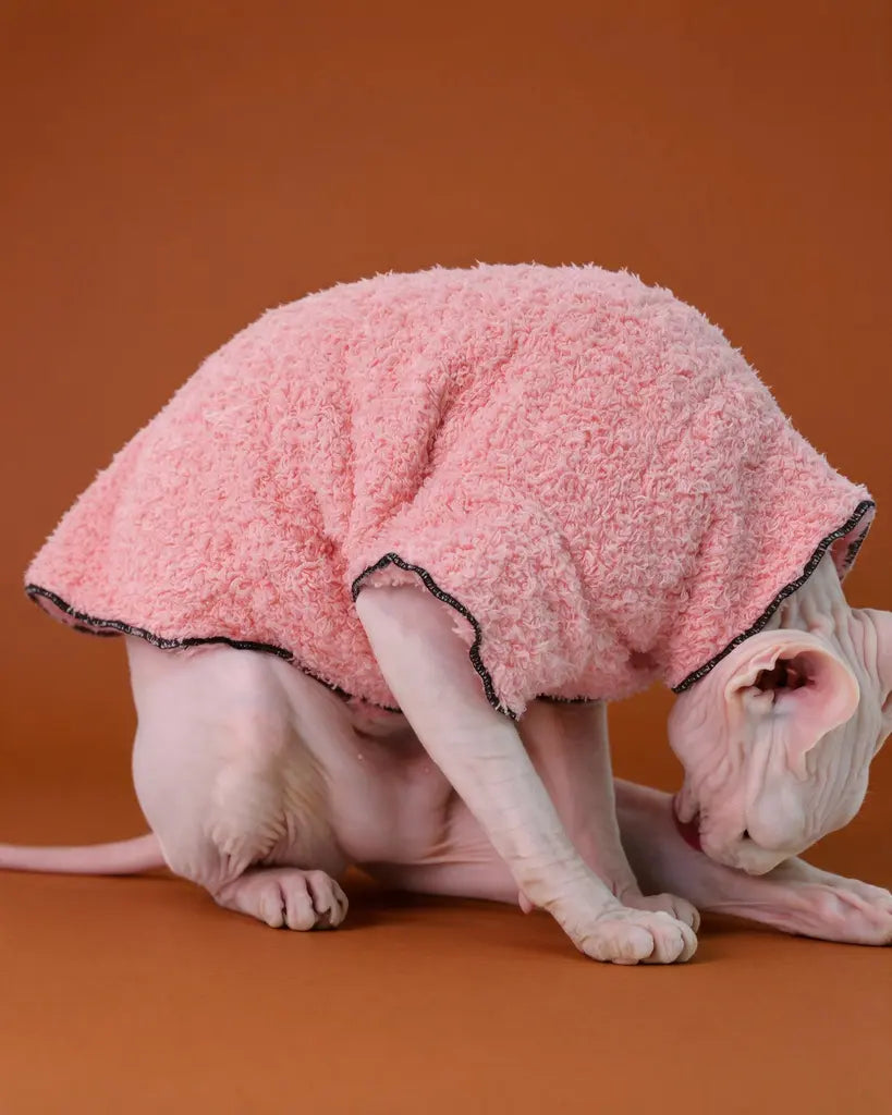 Sphynx cat wearing a pink coral fleece sweater for autumn and winter warmth