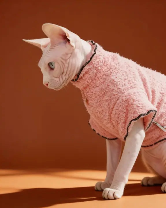 Sphynx cat wearing a pink coral fleece sweater for autumn and winter warmth
