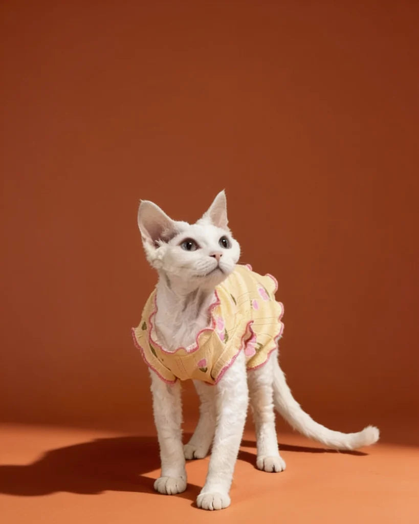 Ruffle Edge Tulip Flower Sphynx Cat Clothes CityBear
