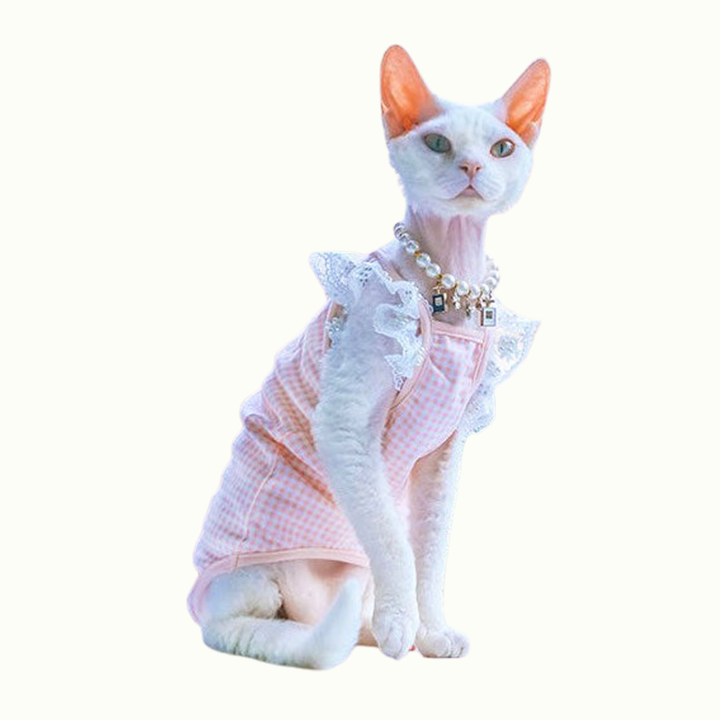 Lace Ruffle Sleeve Gingham Sphynx Cat Camisoles