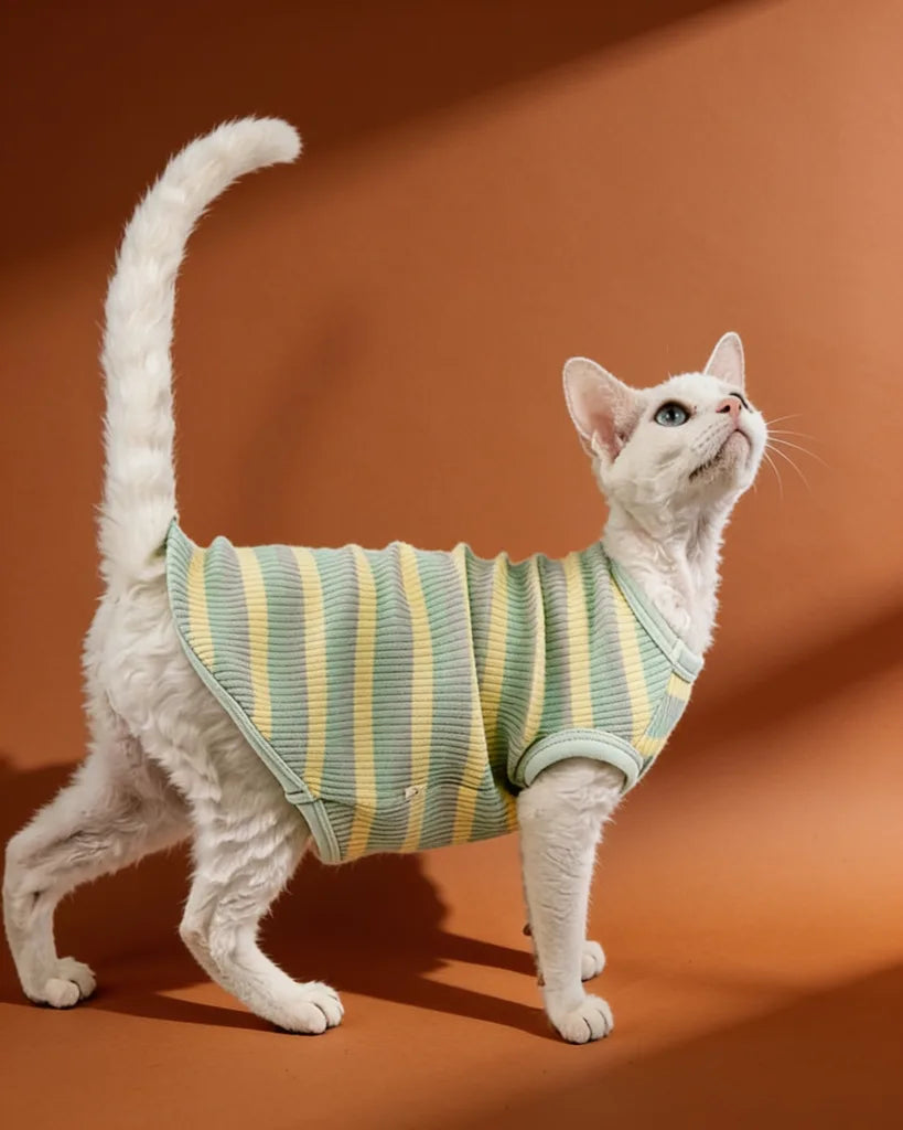 Sage Butter Soft Cotton Striped Spring Sphynx Cat Tee