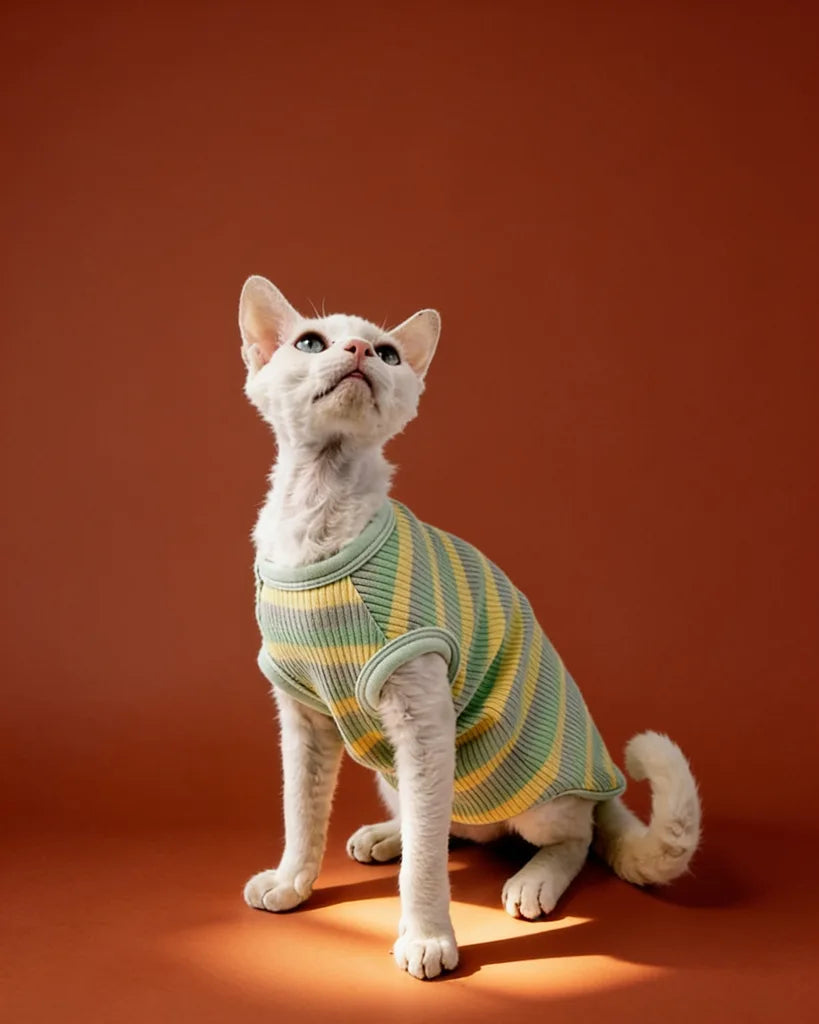 Sage Butter Soft Cotton Striped Spring Sphynx Cat Tee