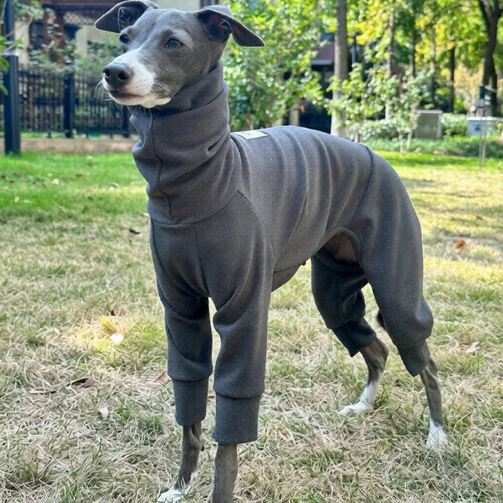 Semi Elastic Soft Warm Full-Body Onesie for Sighthounds