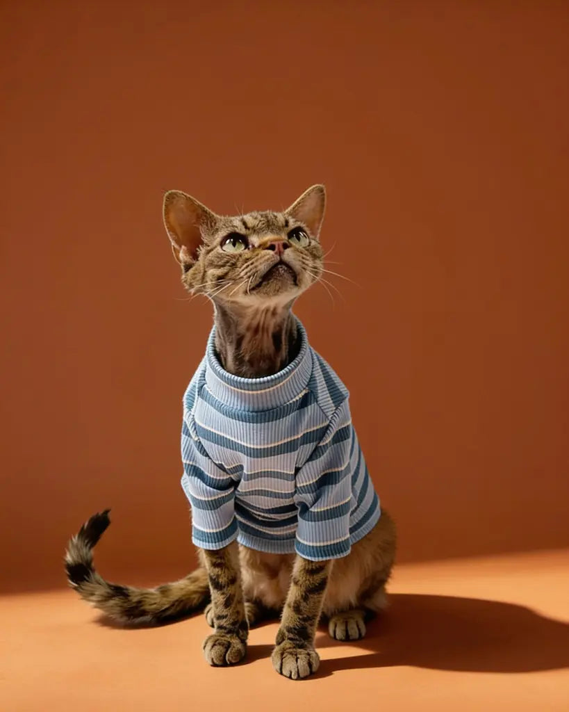 Sphynx cat wearing a comfortable striped spring t-shirt indoors