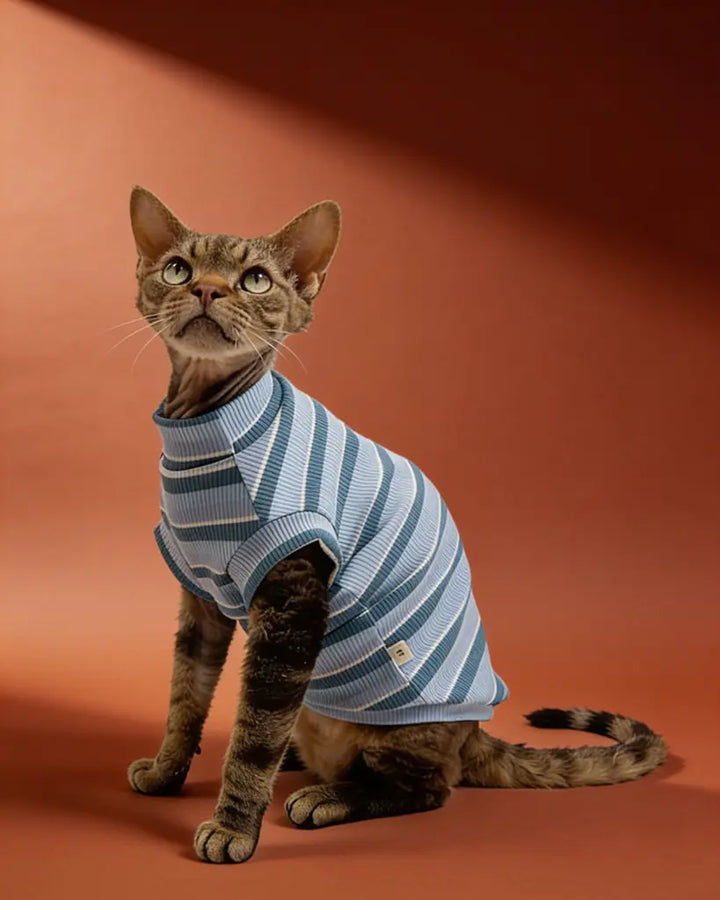 Sphynx cat wearing a comfortable striped spring tank top indoors