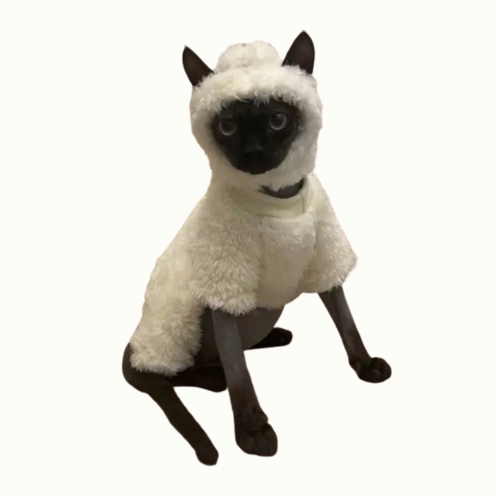 Shaun The Sheep Sphynx Cat Costumes