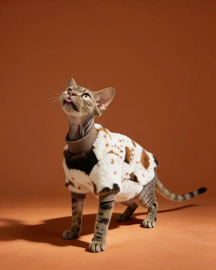 Sphynx cat wearing a soft double-sided fleece sweater for winter warmth