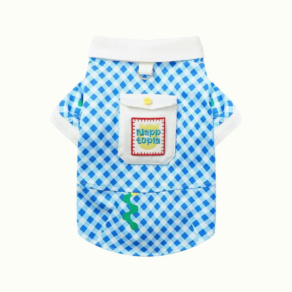 Skater Pup Pet and Owner Matching Outfits