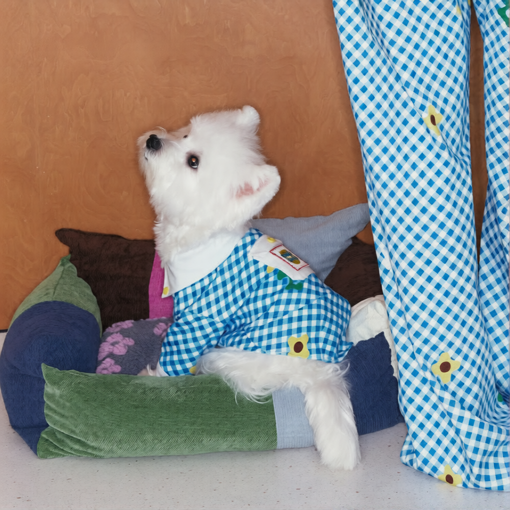 Skater Pup Pet and Owner Matching Outfits