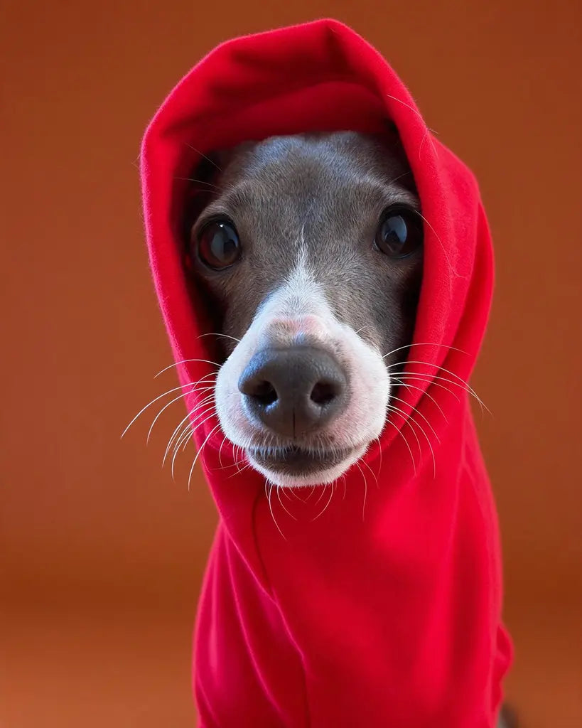 Sleeksuit Red Turtleneck Onesie for Italian Greyhounds &amp; Whippets