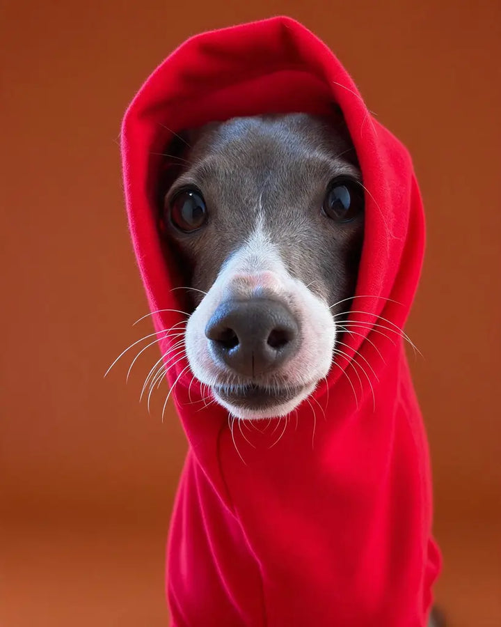 Sleeksuit Red Turtleneck Onesie for Italian Greyhounds &amp; Whippets