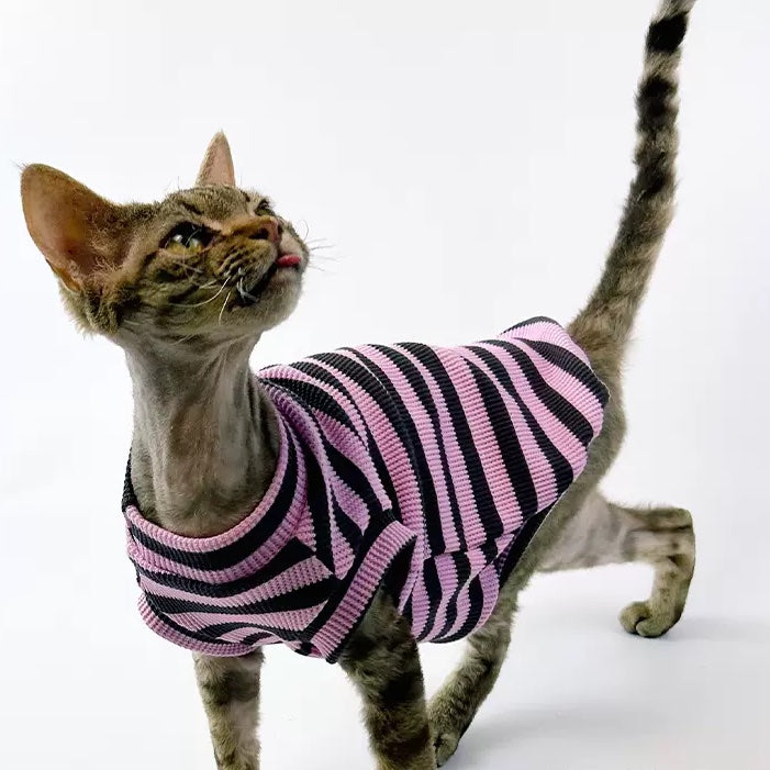 Stripes Sphynx Cat Tank Tops