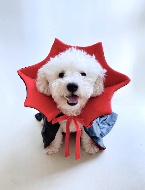 Dracula Pet Halloween Costume