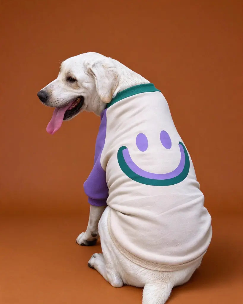 Smiley Color-Block Small to Big Dog Sweatshirt