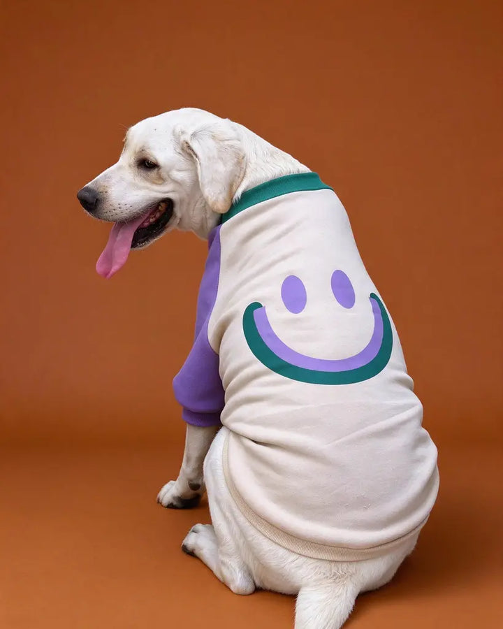 Smiley Color-Block Small to Big Dog Sweatshirt