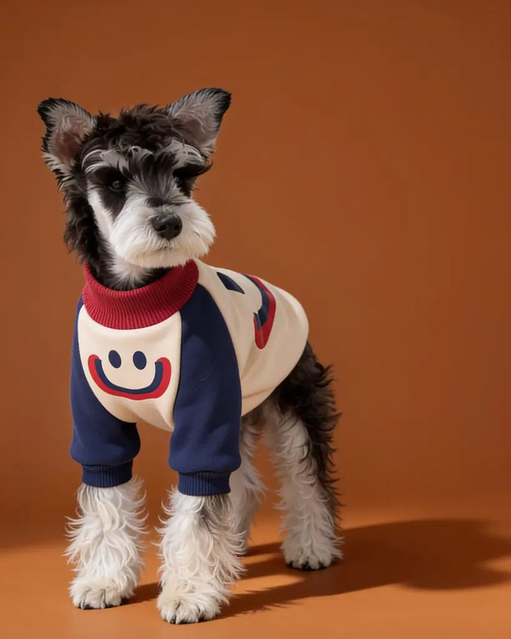 A small black-and-white dog wearing a fitted knit sweater. The sweater is cream with navy sleeves and cuffs, a red collar, and a red-and-blue smiley face graphic on the front and back