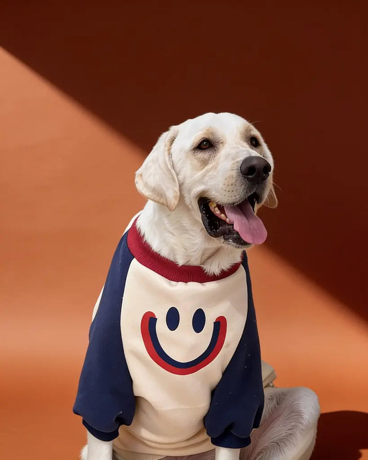 Smiley Color-Block Small to Big Dog Sweatshirt