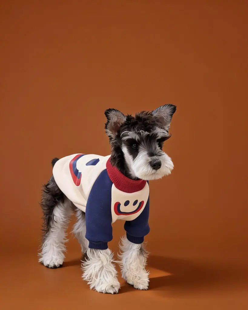 A small black-and-white dog wearing a fitted knit sweater. The sweater is cream with navy sleeves and trim, plus a red smiley face graphic on the front and back