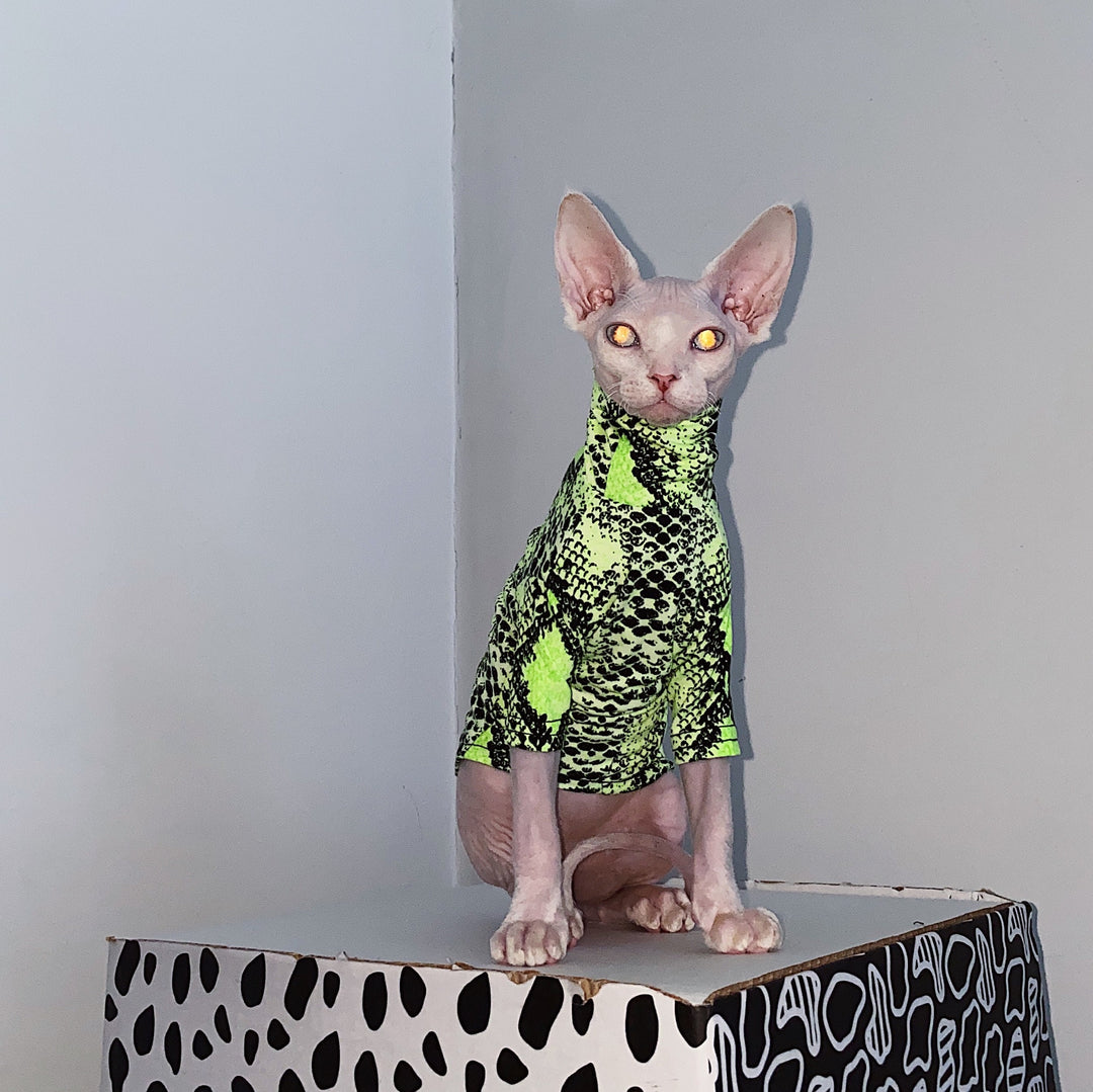 Snake Print Slim Fit Sphynx Clothes, Highneck Sphynx Tops, Hairless Cat Clothes, Spring Summer Clothes, Sphinx Clothes, Devon Rex Clothes