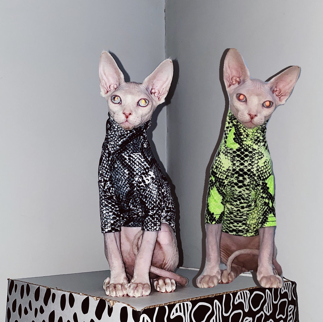 Snake Print Slim Fit Sphynx Clothes, Highneck Sphynx Tops, Hairless Cat Clothes, Spring Summer Clothes, Sphinx Clothes, Devon Rex Clothes