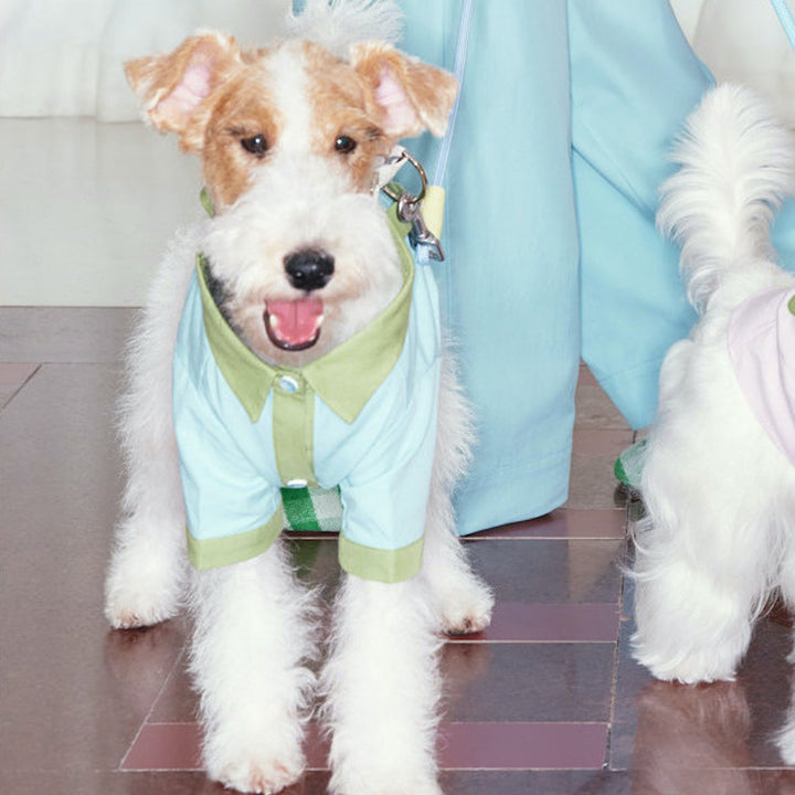 Soda Pop Pet and Owner Matching Pajamas in Blue