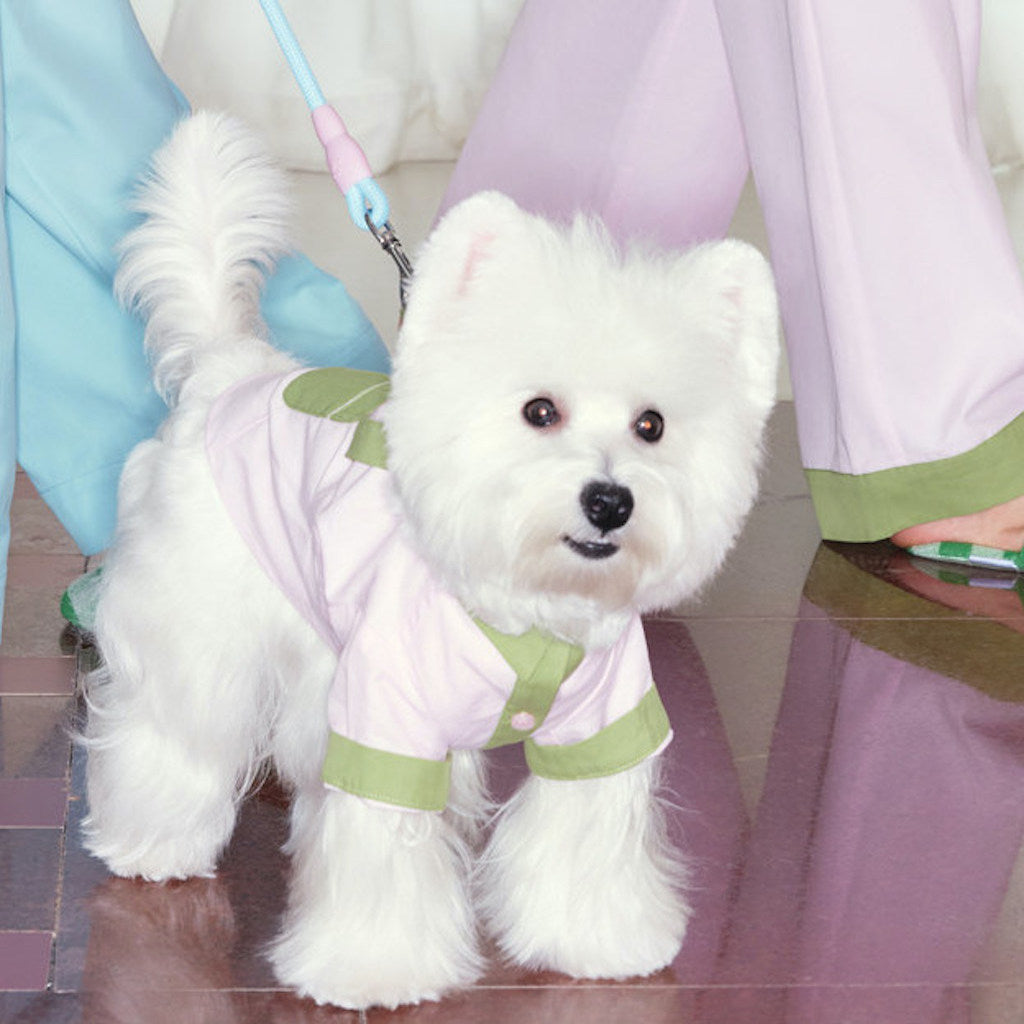 Soda Pop Pet and Owner Matching Pajamas in Blue