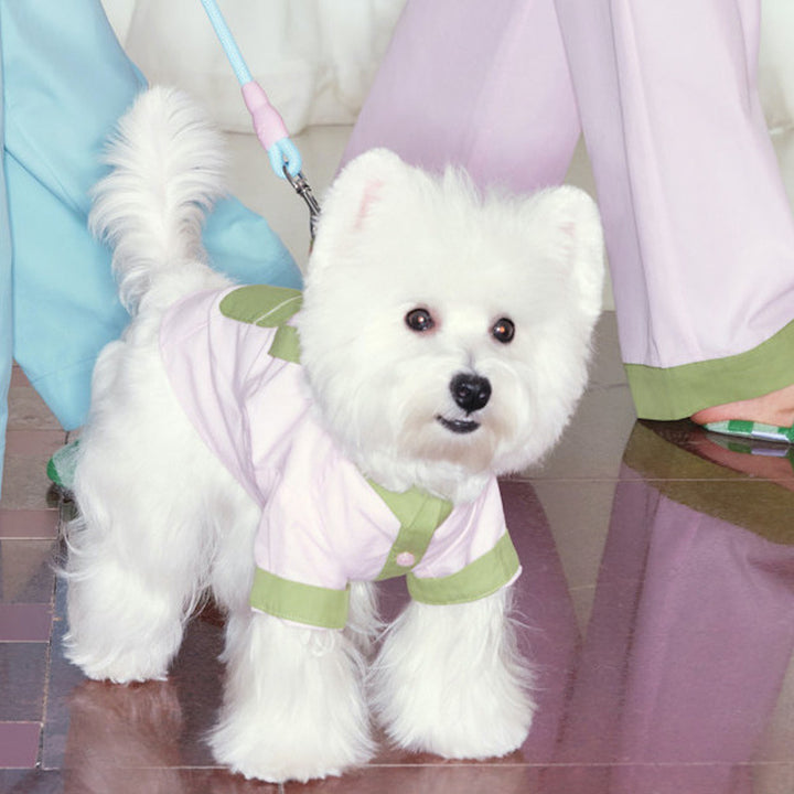 Soda Pop Pet and Owner Matching Pajamas in Blue
