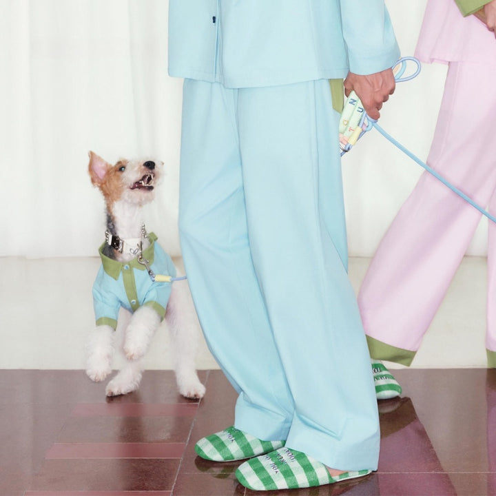Soda Pop Pet and Owner Matching Pajamas in Blue