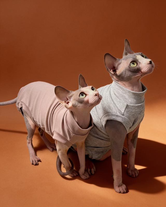 Soft Cotton Sleeveless Bodysuit Sphynx Cat Onesies CityBear