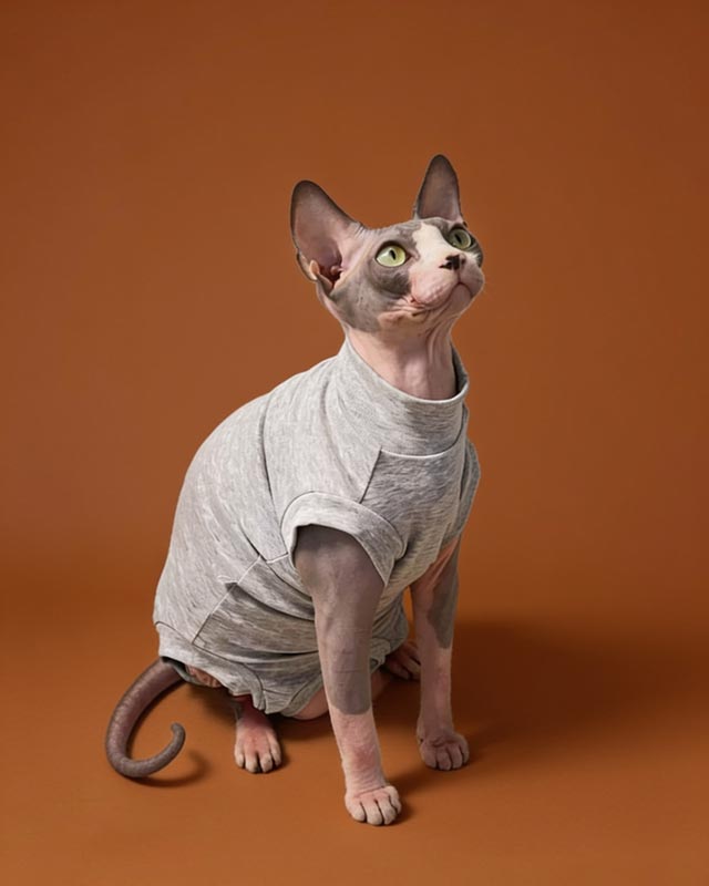 Soft Cotton Sleeveless Bodysuit Sphynx Cat Onesies CityBear