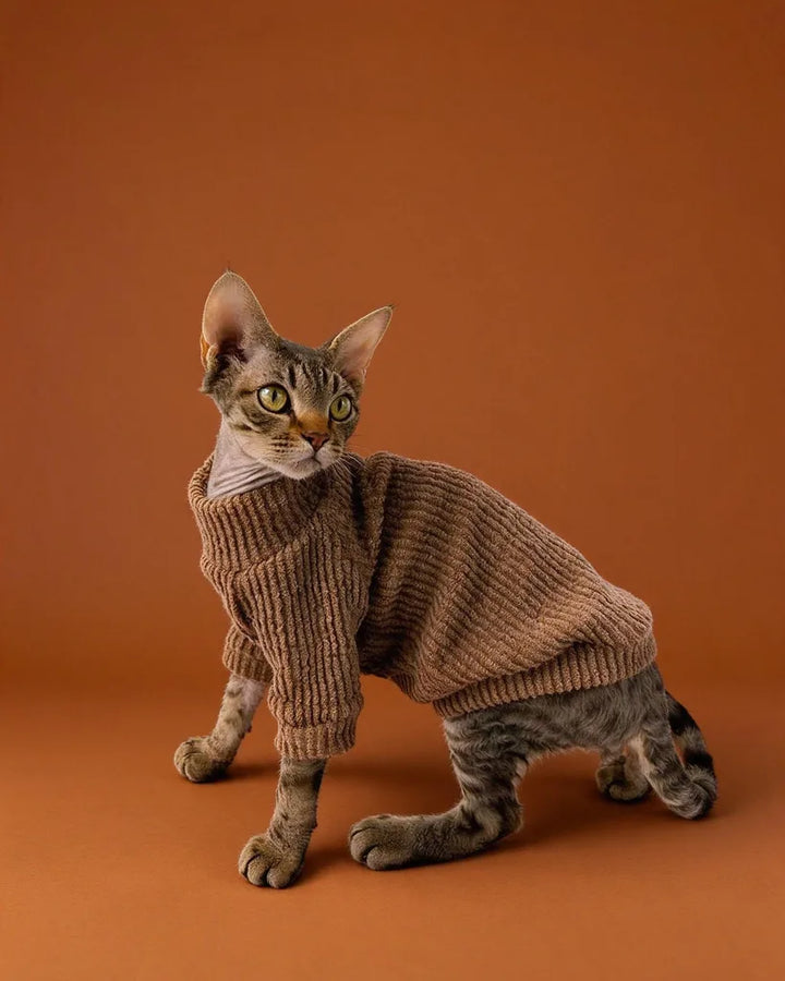 Sphynx Cat Highneck Warm Sculpted Ribbed Knit Sweater