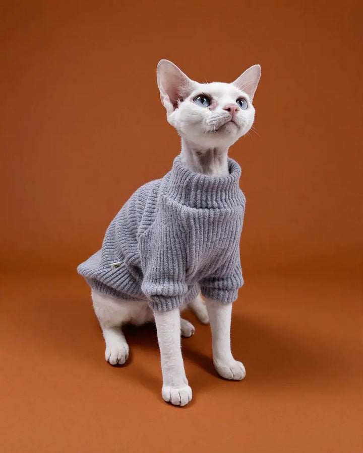 White Sphynx cat wearing a soft gray ribbed knit sweater for fall and winter warmth.