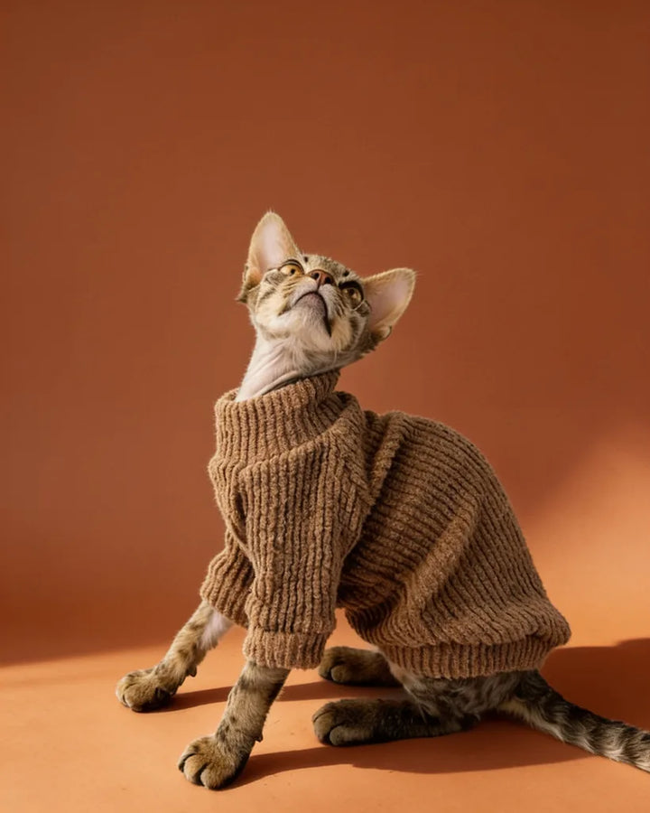 Sphynx Cat Highneck Warm Sculpted Ribbed Knit Sweater
