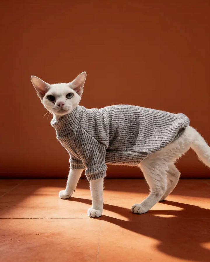 White Sphynx cat wearing a soft gray ribbed knit sweater for fall and winter warmth.