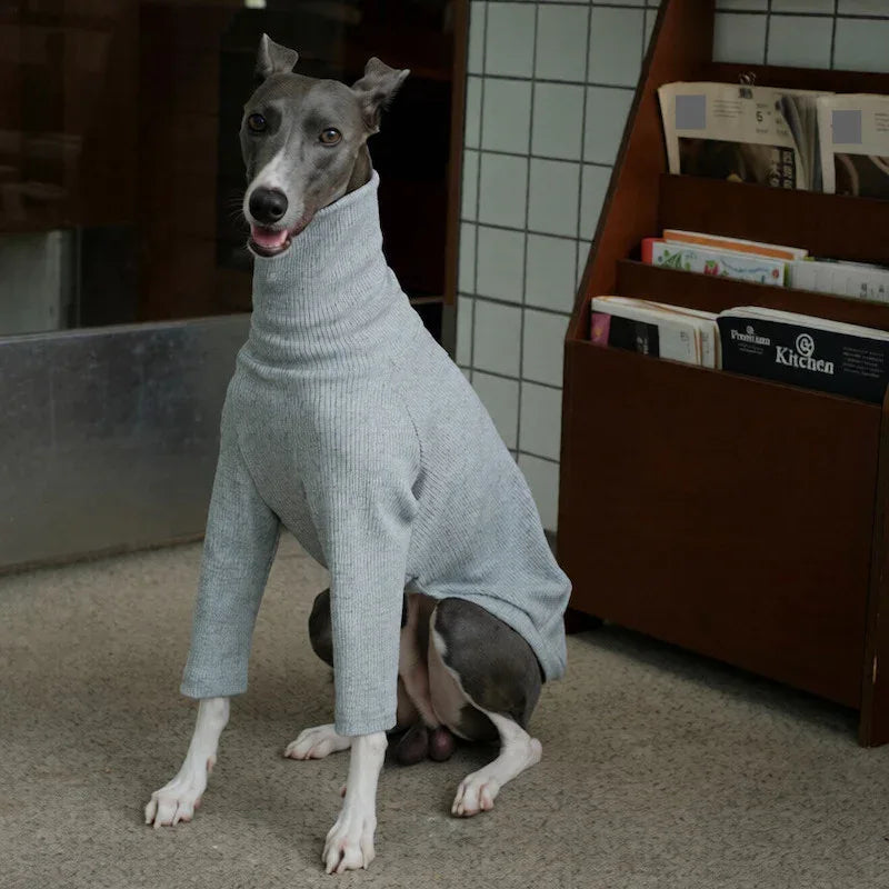 Highneck Slim Fit Base Sweater for Italian Greyhound and Whippet