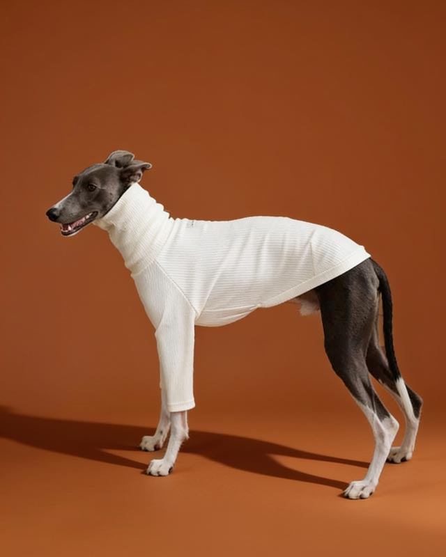 soft-highneck-slim-fit-base-whippet-sweater-for-italian-greyhound-bedlington-sighthound-dog-clothes-pet-owner-gifts - CityBear
