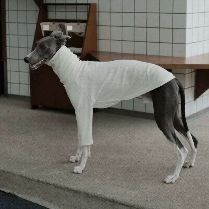 Highneck Slim Fit Base Sweater for Italian Greyhound and Whippet