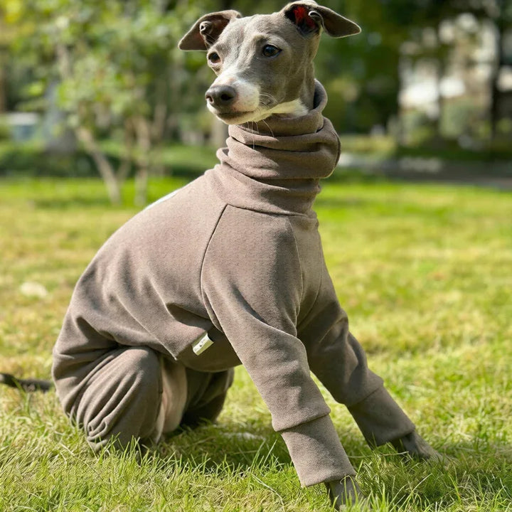 Semi Elastic Soft Warm Full-Body Onesie for Sighthounds