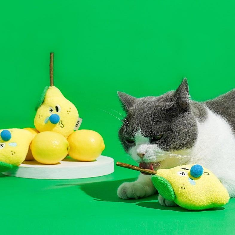 Bright yellow sour lemon cat toy for small cats 
