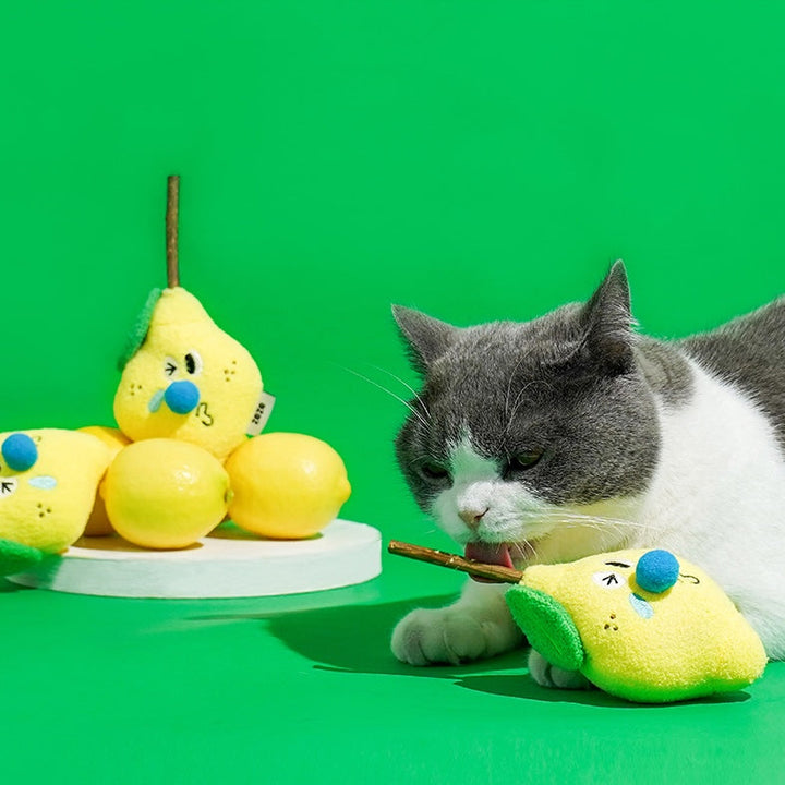 Bright yellow sour lemon cat toy for small cats 

