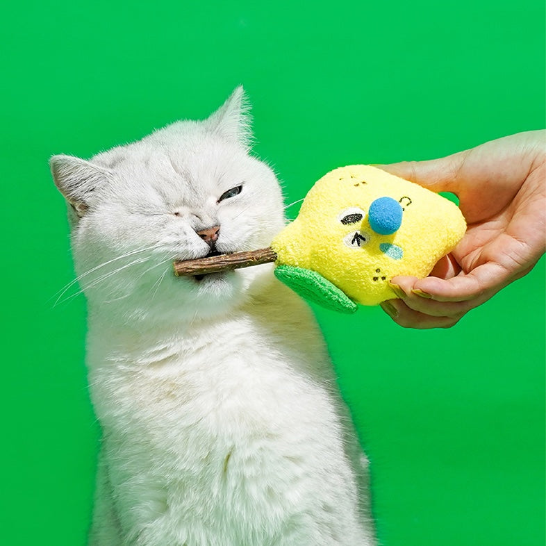 Sour Lemon cat toy with corduroy fabric and catnip 