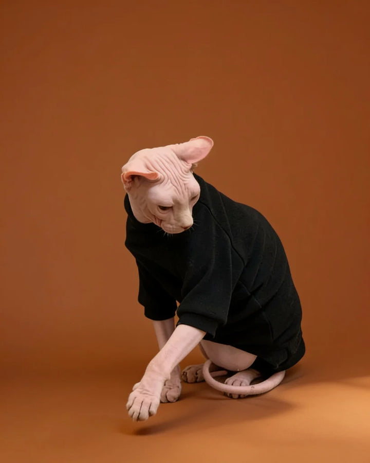 Sphynx cat wearing a black cashmere onesie for warm fall and winter indoor comfort