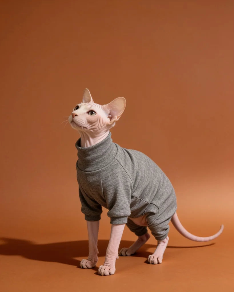 A hairless cat wearing a gray pet turtleneck onesie.
