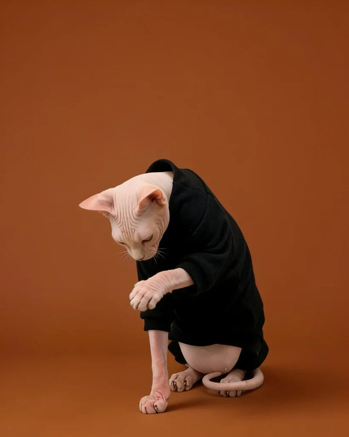 Sphynx cat wearing a black cashmere onesie for warm fall and winter indoor comfort