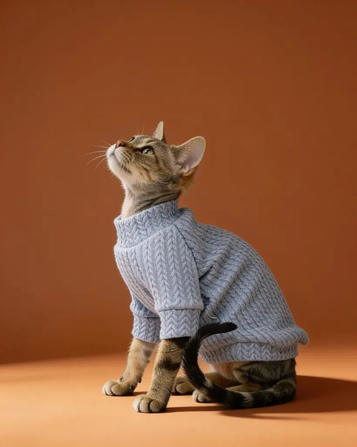 Sphynx cat wearing a lavender chunky knit cotton sweater