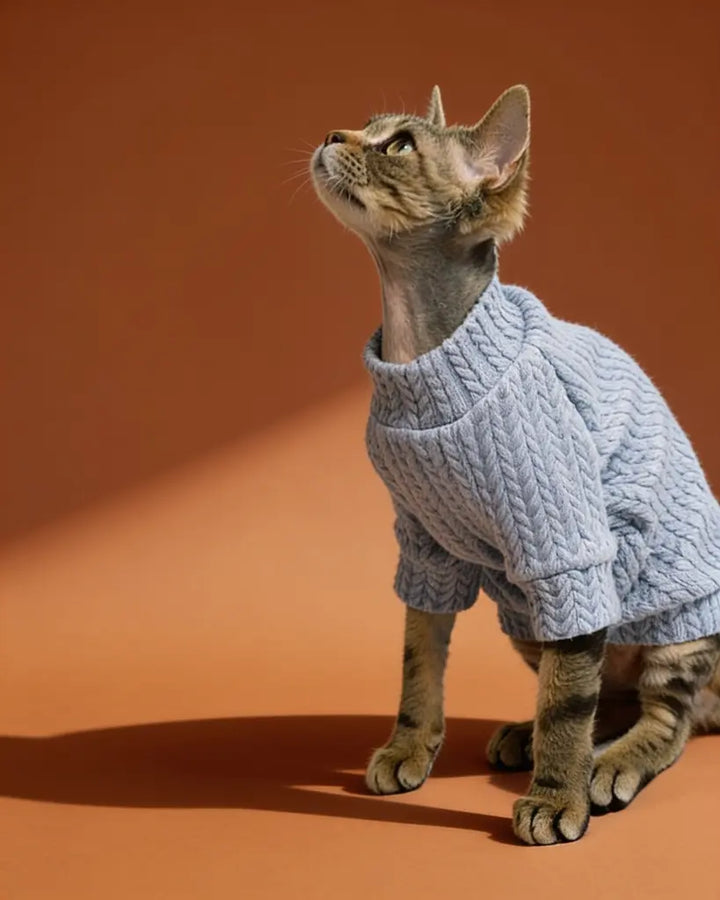 Sphynx cat wearing a lavender chunky knit cotton sweater