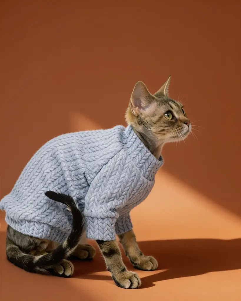 Sphynx cat wearing a lavender chunky knit cotton sweater