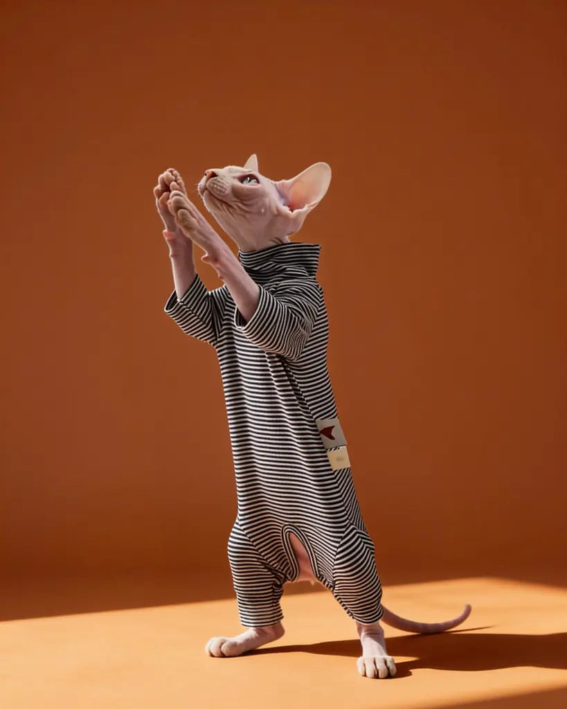 A hairless cat wearing a black-and-white horizontally striped turtleneck jumpsuit.